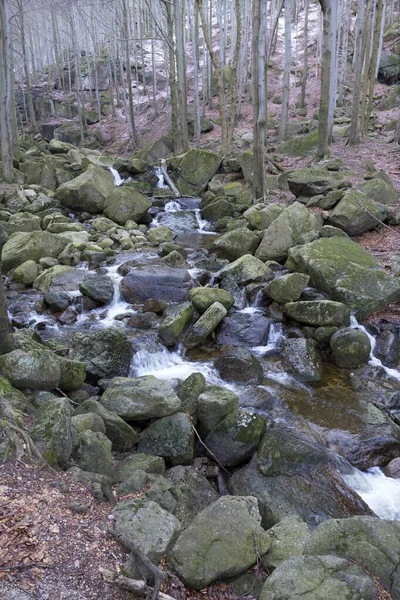 Nordböhmische Waldlandschaft Mit Findlingen Und Bäumen Isergebirge Tschechische Republik — Stockfoto