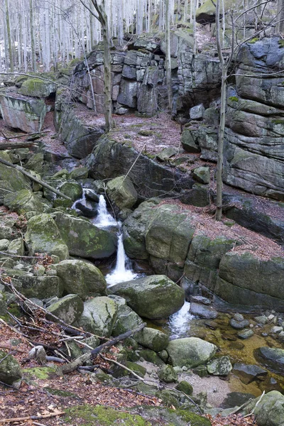 Floresta Boêmia Norte Paisagem Com Suas Pedras Árvores Montanhas Jizera — Fotografia de Stock