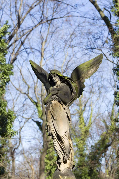 Estátua Histórica Sobre Mistério Antigo Cemitério Praga República Checa — Fotografia de Stock