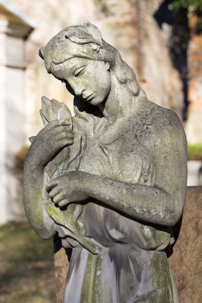 Estatua Histórica Sobre Antiguo Cementerio Praga República Checa —  Fotos de Stock