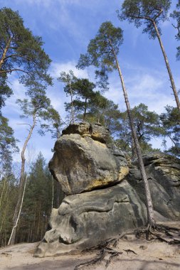 Kuzey Bohemya 'daki Kum Taşları Mavi Gökyüzü, Çek Cumhuriyeti