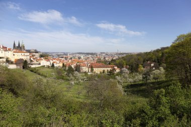 Prag İlkbaharında Gotik Kalesi, Yeşil Doğa ve Çiçekli Ağaçlar Çek Cumhuriyeti, Petrin Tepesi 'nden