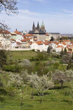 Prag İlkbaharında Gotik Kalesi, Yeşil Doğa ve Çiçekli Ağaçlar Çek Cumhuriyeti, Petrin Tepesi 'nden