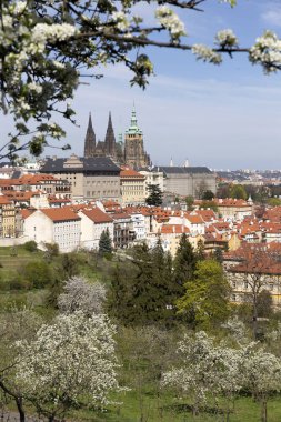 Prag İlkbaharında Gotik Kalesi, Yeşil Doğa ve Çiçekli Ağaçlar Çek Cumhuriyeti, Petrin Tepesi 'nden