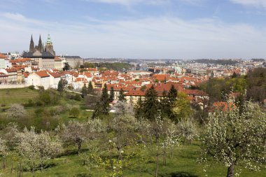 Prag İlkbaharında Gotik Kalesi, Yeşil Doğa ve Çiçekli Ağaçlar Çek Cumhuriyeti, Petrin Tepesi 'nden
