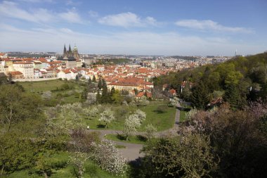 Prag İlkbaharında Gotik Kalesi, Yeşil Doğa ve Çiçekli Ağaçlar Çek Cumhuriyeti, Petrin Tepesi 'nden