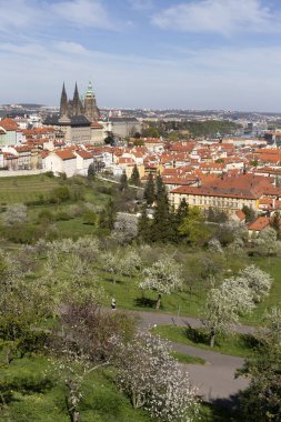 Prag İlkbaharında Gotik Kalesi, Yeşil Doğa ve Çiçekli Ağaçlar Çek Cumhuriyeti, Petrin Tepesi 'nden