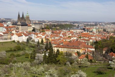 Prag İlkbaharında Gotik Kalesi, Yeşil Doğa ve Çiçekli Ağaçlar Çek Cumhuriyeti, Petrin Tepesi 'nden