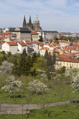 Prag İlkbaharında Gotik Kalesi, Yeşil Doğa ve Çiçekli Ağaçlar Çek Cumhuriyeti, Petrin Tepesi 'nden