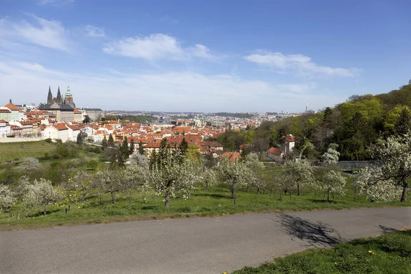 Spring Prague City Gothic Castle Green Nature Flowering Trees Hill — Stock Photo, Image