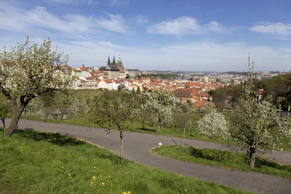 Printemps Prague Ville Avec Château Gothique Nature Verte Des Arbres — Photo