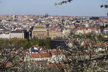 Çek Cumhuriyeti 'nin Petrin Tepesi' nden yeşil doğa ve çiçek açan ağaçlarla İlkbahar Prag Şehri