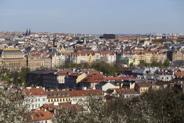 Çek Cumhuriyeti 'nin Petrin Tepesi' nden yeşil doğa ve çiçek açan ağaçlarla İlkbahar Prag Şehri