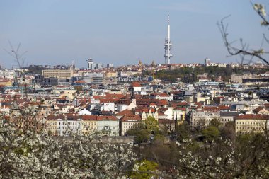 Çek Cumhuriyeti 'nin Petrin Tepesi' nden yeşil doğa ve çiçek açan ağaçlarla İlkbahar Prag Şehri