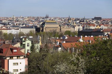 Çek Cumhuriyeti 'nin Petrin Tepesi' nden yeşil doğa ve çiçek açan ağaçlarla İlkbahar Prag Şehri