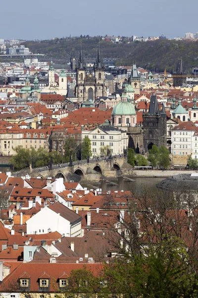 Spring Prague City Green Nature Flowering Trees Hill Petrin Czech — Stock Photo, Image