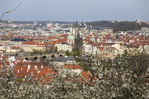 Çek Cumhuriyeti Nin Petrin Tepesi Nden Yeşil Doğa Çiçek Açan — Stok fotoğraf