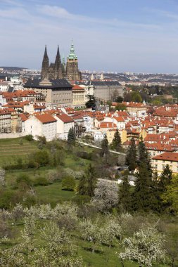 Prag İlkbaharında Gotik Kalesi, Yeşil Doğa ve Çiçekli Ağaçlar Çek Cumhuriyeti, Petrin Tepesi 'nden