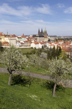 Prag İlkbaharında Gotik Kalesi, Yeşil Doğa ve Çiçekli Ağaçlar Çek Cumhuriyeti, Petrin Tepesi 'nden