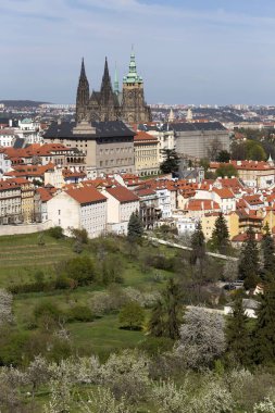 Prag İlkbaharında Gotik Kalesi, Yeşil Doğa ve Çiçekli Ağaçlar Çek Cumhuriyeti, Petrin Tepesi 'nden