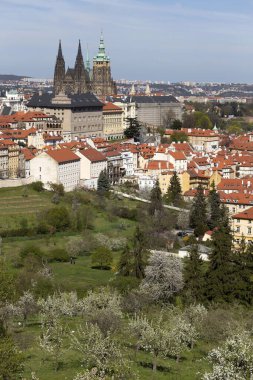 Prag İlkbaharında Gotik Kalesi, Yeşil Doğa ve Çiçekli Ağaçlar Çek Cumhuriyeti, Petrin Tepesi 'nden
