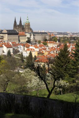 Prag İlkbaharında Gotik Kalesi, Yeşil Doğa ve Çiçekli Ağaçlar Çek Cumhuriyeti, Petrin Tepesi 'nden