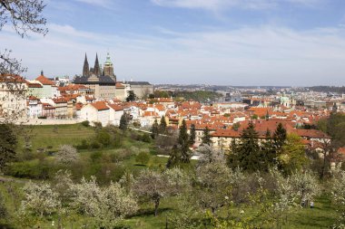 Prag İlkbaharında Gotik Kalesi, Yeşil Doğa ve Çiçekli Ağaçlar Çek Cumhuriyeti, Petrin Tepesi 'nden