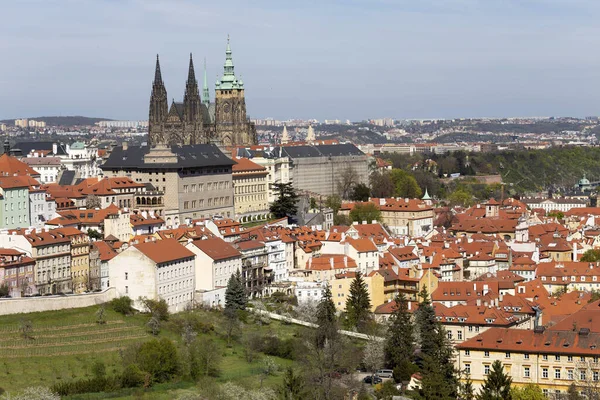 Spring Prague City Gotickým Hradem Zelenou Přírodou Kvetoucími Stromy Petřína — Stock fotografie