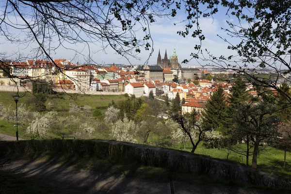 Wiosna Miasto Praga Gotyckim Zamkiem Zieloną Przyrodą Kwitnącymi Drzewami Wzgórza — Zdjęcie stockowe