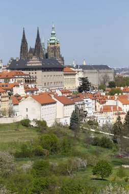 Prag İlkbaharında Gotik Kalesi, Yeşil Doğa ve Çiçekli Ağaçlar Çek Cumhuriyeti, Petrin Tepesi 'nden