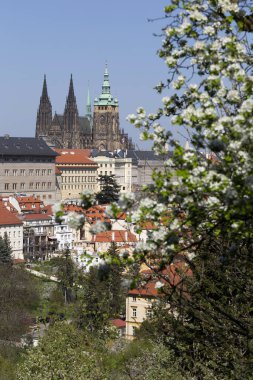 Prag İlkbaharında Gotik Kalesi, Yeşil Doğa ve Çiçekli Ağaçlar Çek Cumhuriyeti, Petrin Tepesi 'nden