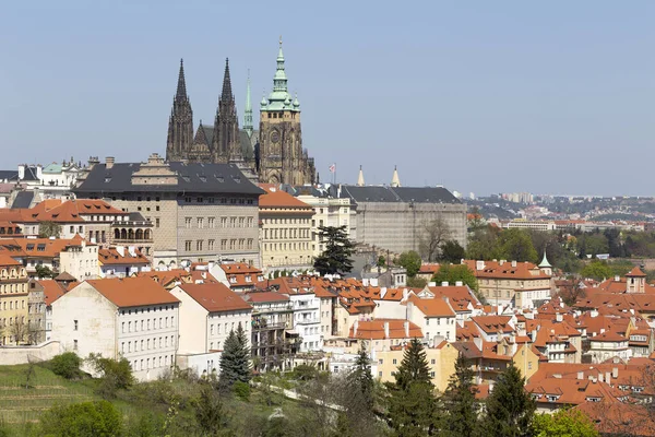春プラハの街 ゴシック様式の城と緑豊かな自然とチェコ共和国の丘ペトリンからの開花木 — ストック写真