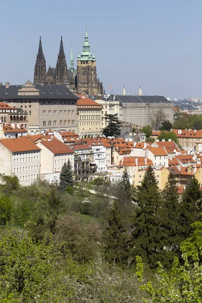 Spring Prague City Com Castelo Gótico Verde Natureza Floração Árvores — Fotografia de Stock