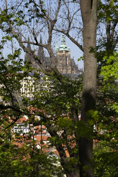 Spring Prague City Gothic Castle Green Nature Flowering Trees Hill — Stock Photo, Image