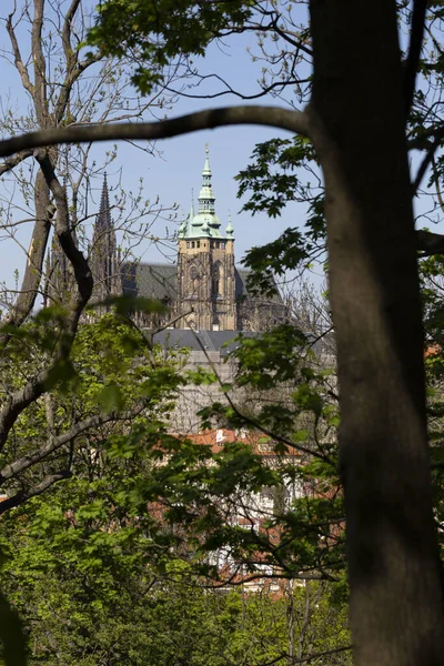 Spring Prague City Gotickým Hradem Zelenou Přírodou Kvetoucími Stromy Petřína — Stock fotografie