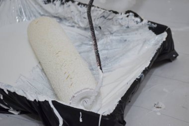 Boya Patenli Fırça Boya Tepsisindeki beyaz rengi bozar.