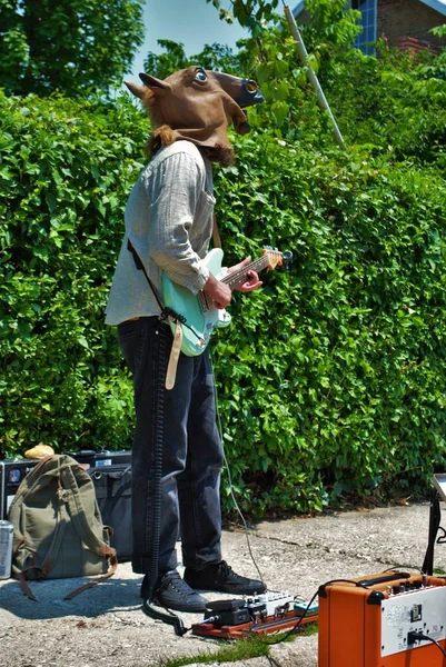 Ulica Wykonawca Gra Gitarze Elektrycznej Podczas Noszenia Maski Głowy Konia — Zdjęcie stockowe
