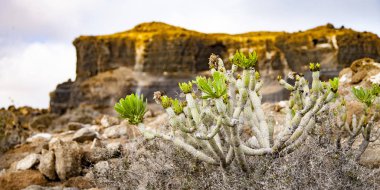 Lanzarote volkanik heykeller, 