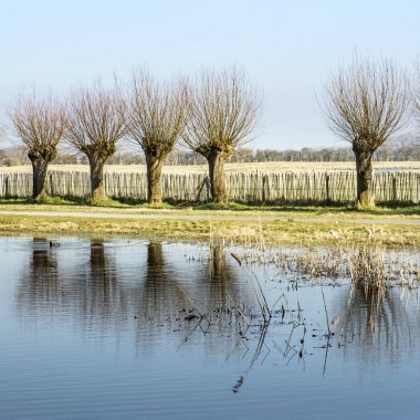 nature reserve 