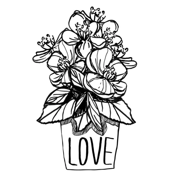 Flower Line Art Ink Pencil Leaves Flowers Apple Isolated Line — Stock Vector