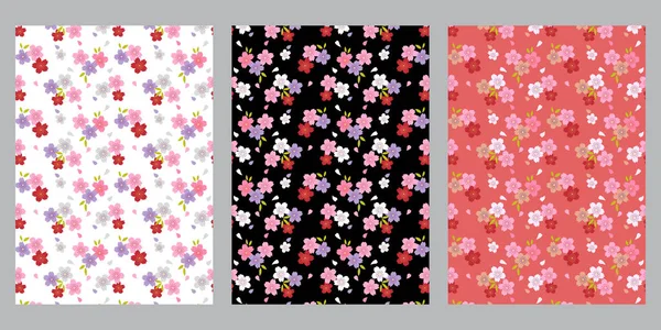 Japanska Söta Körsbär Blomma Abstrakt Bakgrund — Stock vektor