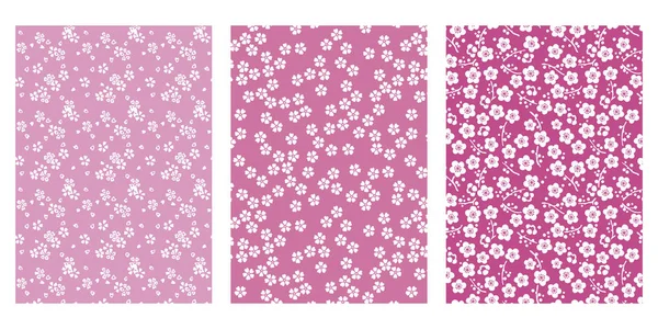Japonais Mignon Rose Fleur Cerisier Abstrait Vecteur Collection Fond — Image vectorielle