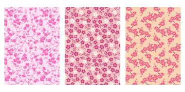 Japon Şirin Erik Çiçeği Soyut Vektör Arkaplan Koleksiyonu