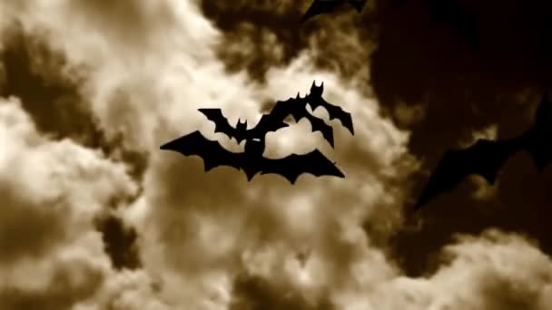 Animation Halloween chauves-souris — Video