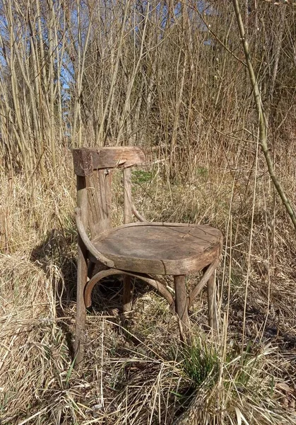 Eski kırık sandalye bayat çimlerde duruyor, yalnızlık ve yaşlılık konsepti.