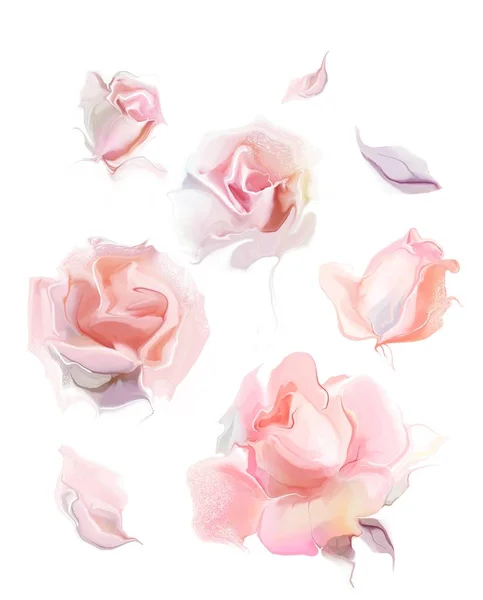 Hermosas flores de rosa — Foto de Stock