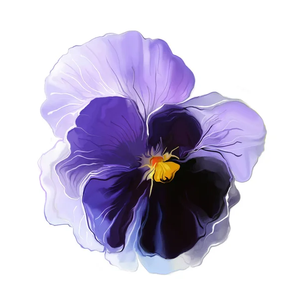 Fond floral coloré — Photo