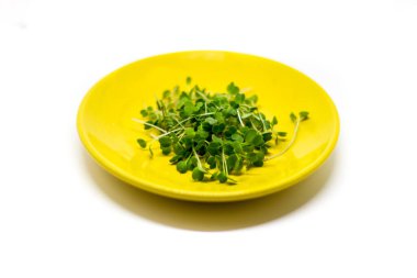 Beyaz arka planda izole edilmiş mikro yeşil roka lahanalı seramik plaka. Üst manzara, yakın plan. Mikroçimler, sağlıklı beslenme konsepti.