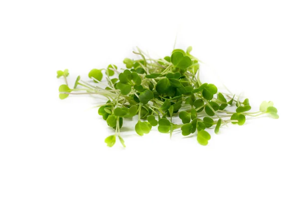Young sprout microgreen isolated on white background. Microgreen arugula sprouts. Healthy eating concept. Clipping path.Top view — Stock Photo, Image