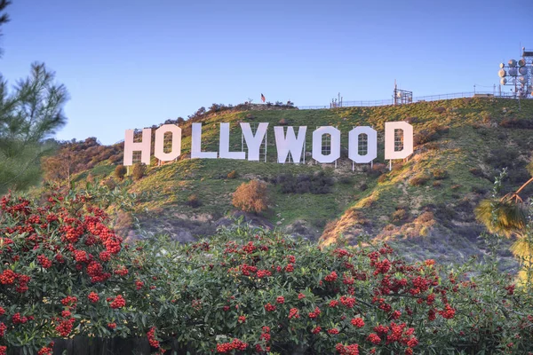 O sinal de Hollywood — Fotografia de Stock